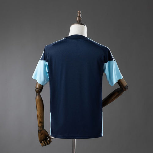 Argentina 2026 Training Fan