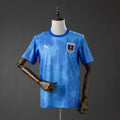 Austria 2026 Away Fan