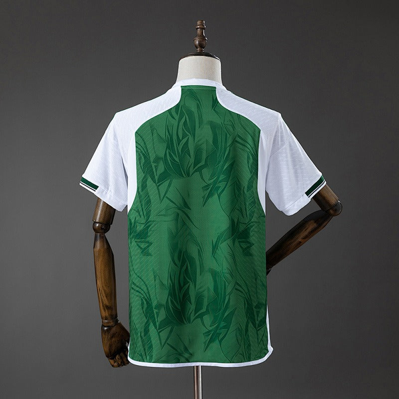 Arsenal 2026-2027 Special Edition - Green Fan