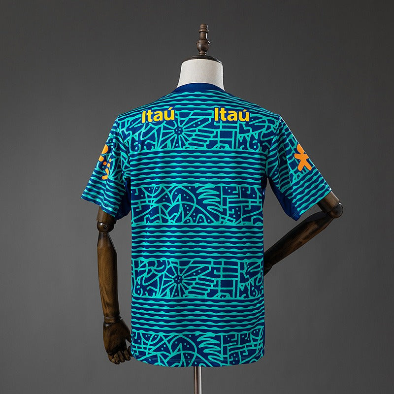 Brazil 2024/2025 pre-match Fan