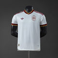 Spain 2026 Away Player