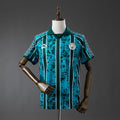 Manchester City 2025-2026 Special Edition Fan