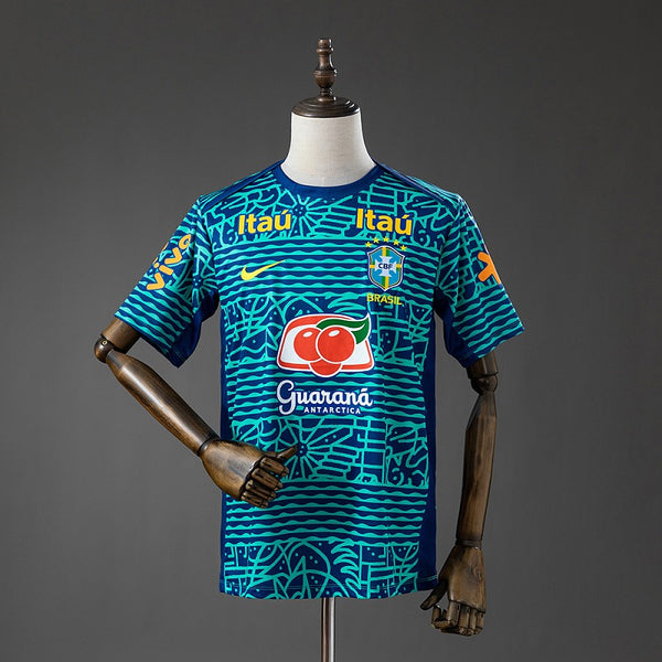Brazil 2024/2025 pre-match Fan